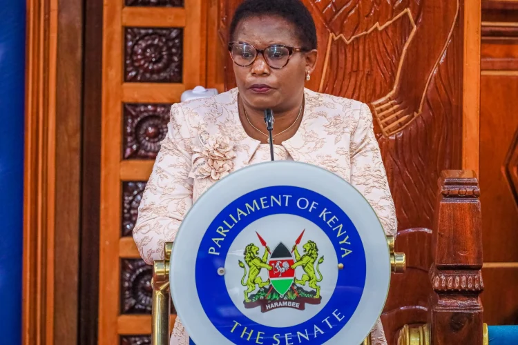 Kawira Mwangaza at the Senate