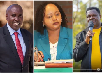 Lenku, Waiguru, Njuki